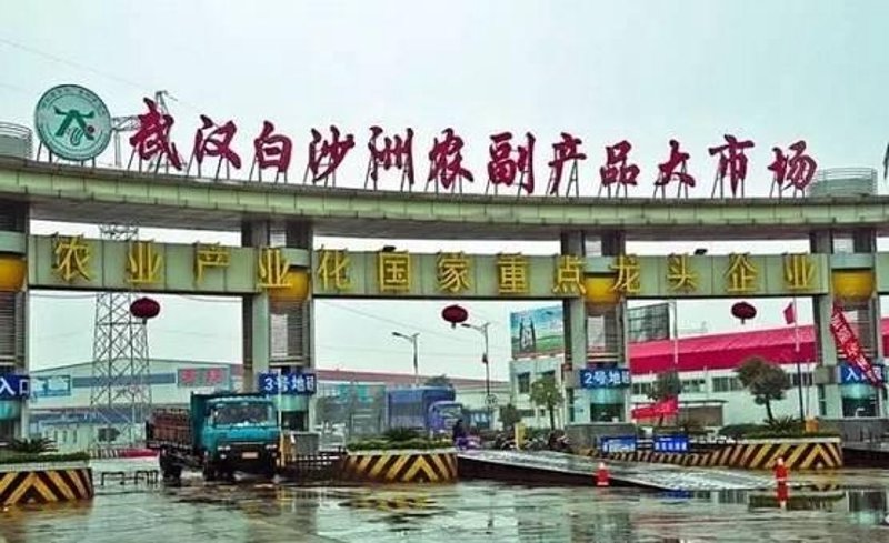 武汉商贸公司前沿资讯：动态与发展